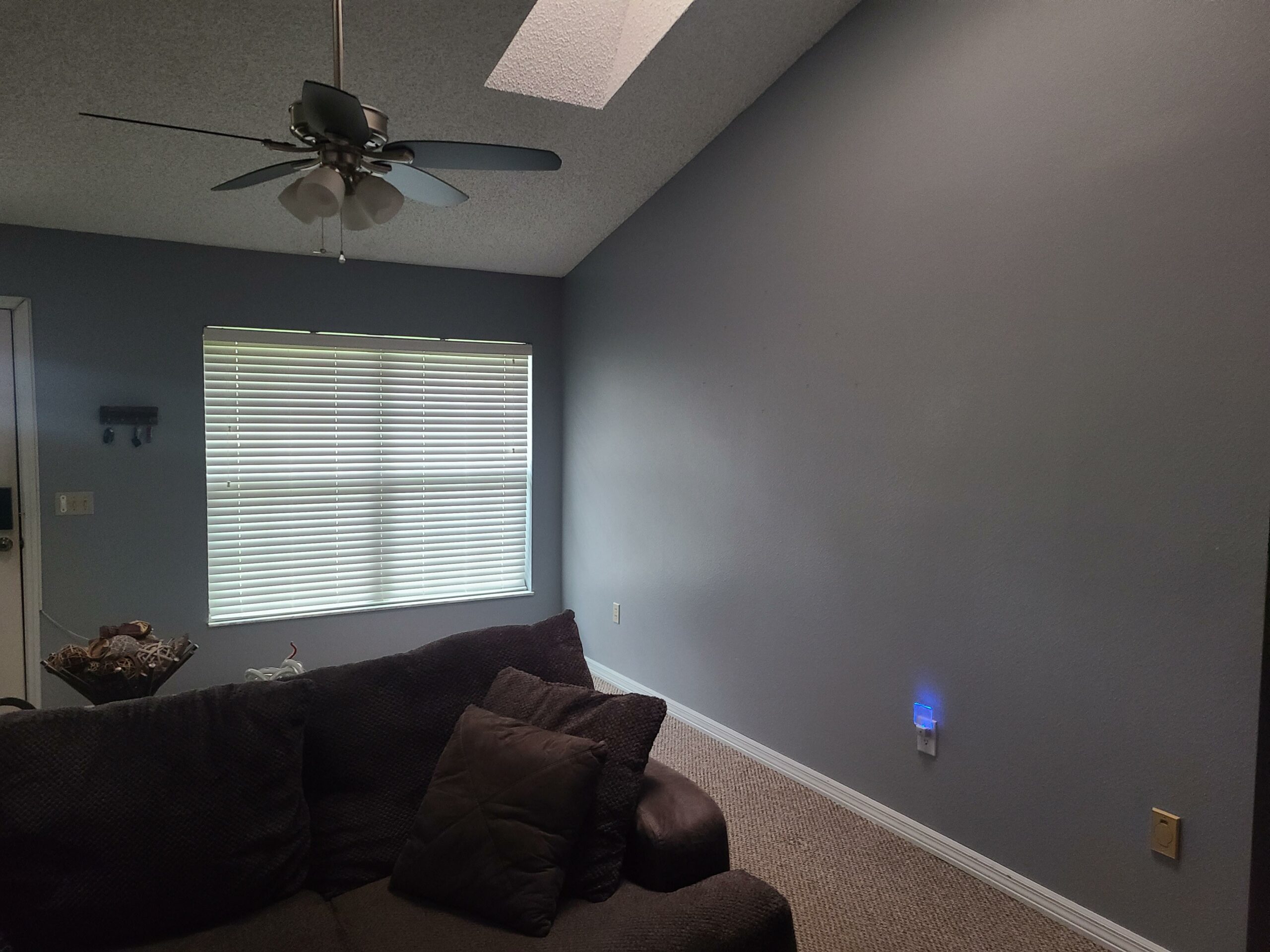 Weekly Residential Clean