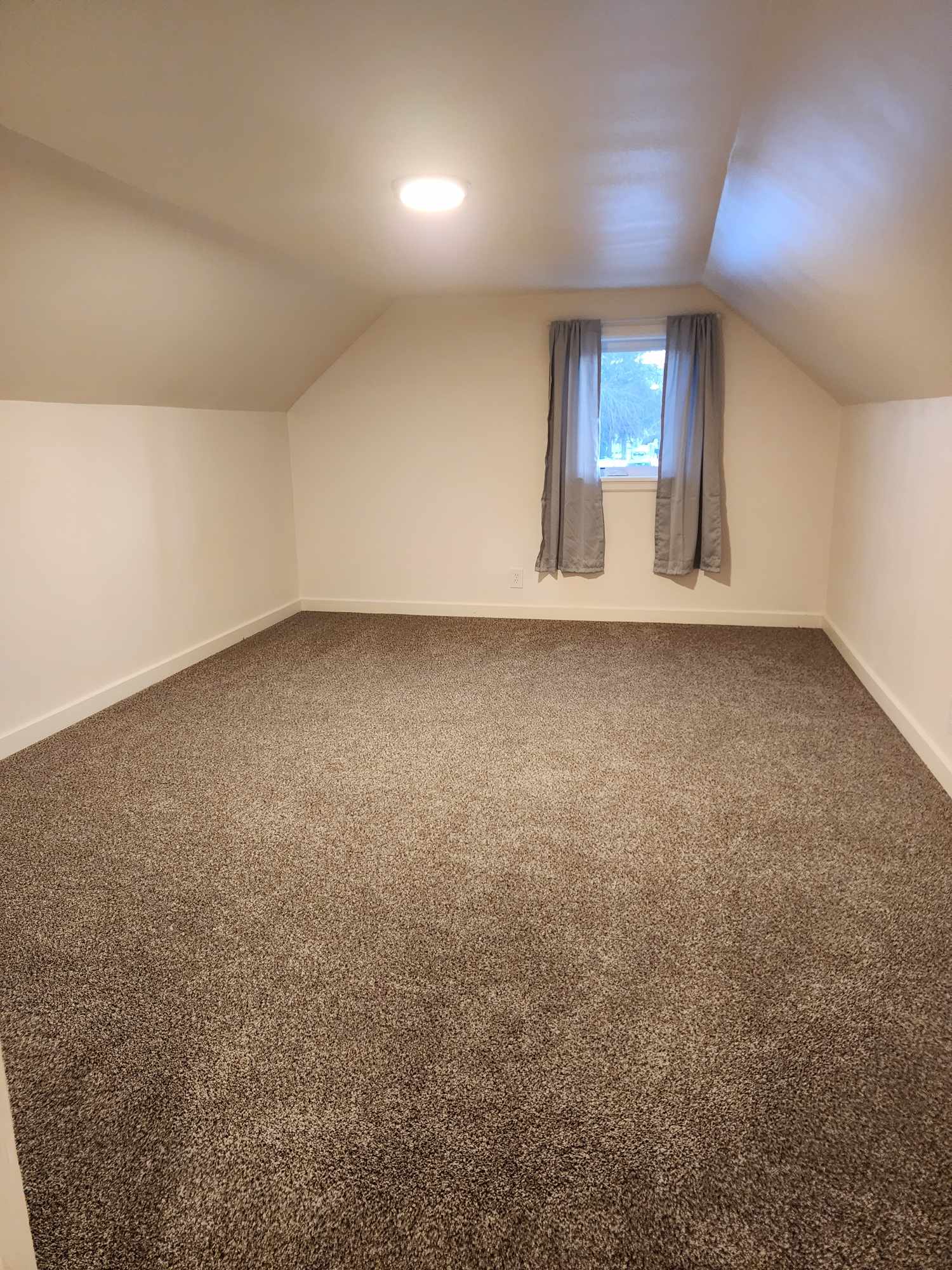 Move-In & Move-Out